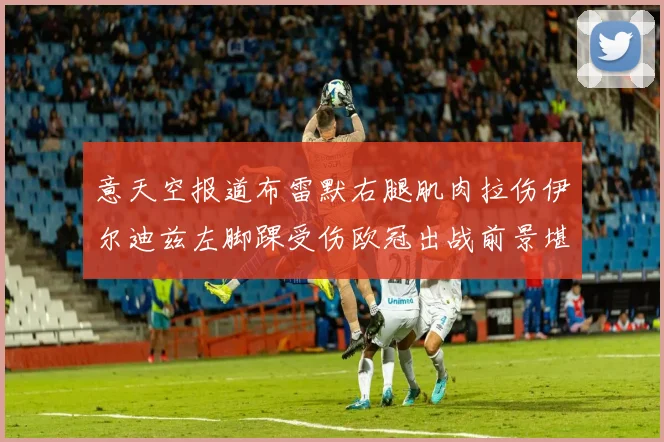意天空报道布雷默右腿肌肉拉伤伊尔迪兹左脚踝受伤欧冠出战前景堪忧