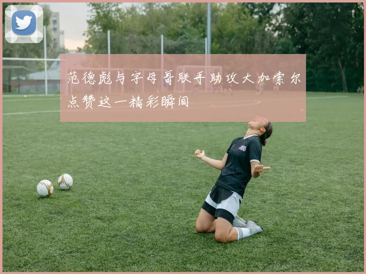范德彪与字母哥联手助攻大加索尔点赞这一精彩瞬间