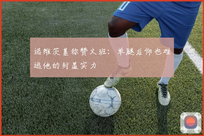 诺维茨基称赞文班：单腿后仰也难逃他的封盖实力